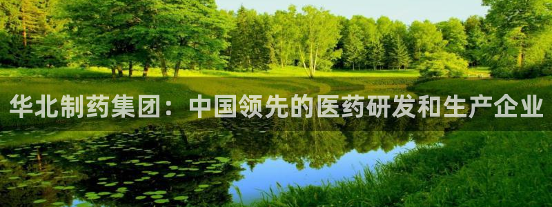 九游会老哥必备的交流社区：华北制药集团：中国领先的医药研发和生产企业