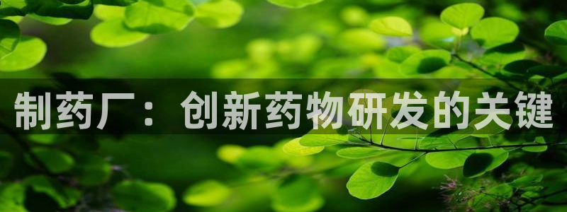 ag九游会老哥俱乐部：制药厂：创新药物研发的关键