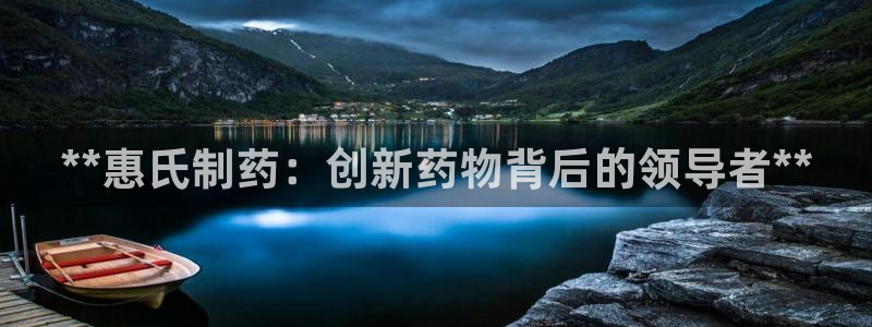 九游老哥俱乐部官网登录不了：**惠氏制药：创新药物背后的领导者**