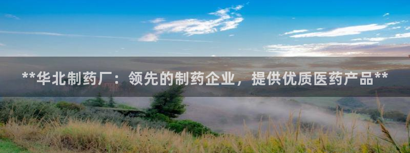 老哥吧九游会：**华北制药厂：领先的制药企业，提供优质医药产品**