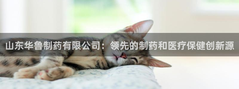 九游会老哥俱乐部交流社区：山东华鲁制药有限公司：领先的制药和医疗保健创新源