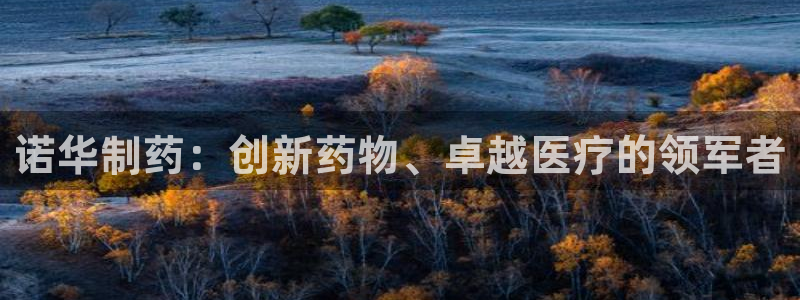 九游老哥俱乐部官网登录不了：诺华制药：创新药物、卓越医疗的领军者