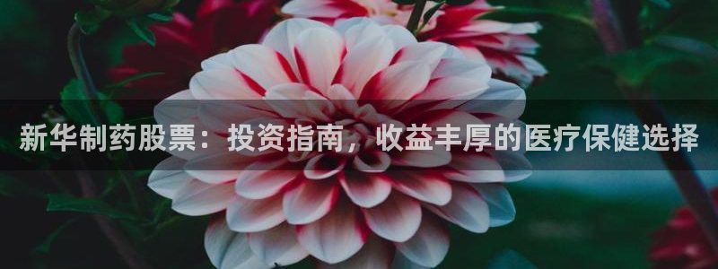 九游老哥俱乐部登录：新华制药股票：投资指南，收益丰厚的医疗保健选择