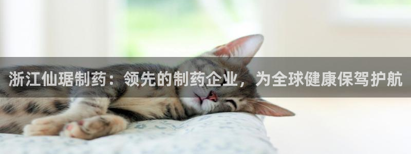 9游会老哥：浙江仙琚制药：领先的制药企业，为全球健康保驾护航