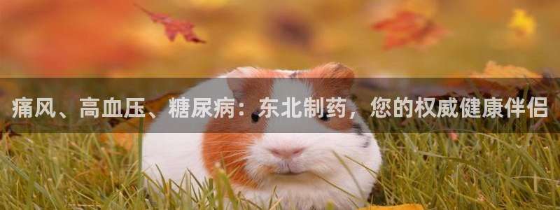 九游会老哥俱乐部官网：痛风、高血压、糖尿病：东北制药，您的权威健康伴侣