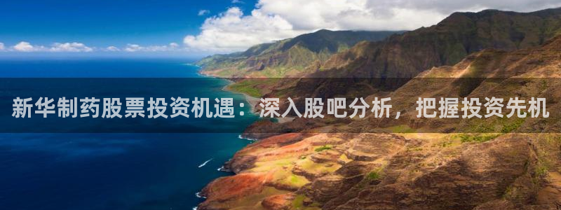 九游会老哥俱乐部社区论坛：新华制药股票投资机遇：深入股吧分析，把握投资先机