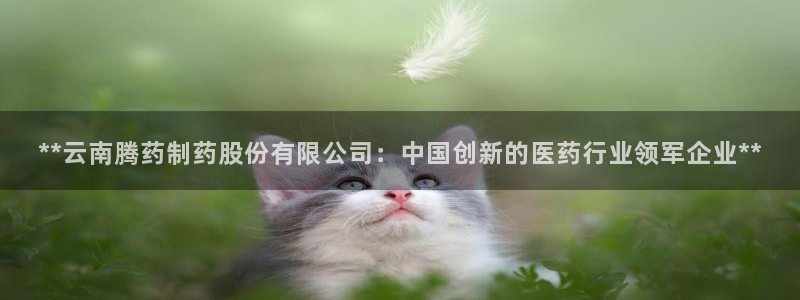 ag九游会老哥：**云南腾药制药股份有限公司：中国创新的医药行业领军企业**