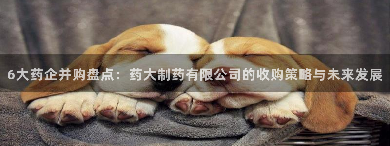 j9九游会老哥俱乐部交流区：6大药企并购盘点：药大制药有限公司的收购策略与未来发展
