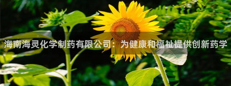 9游会老哥
