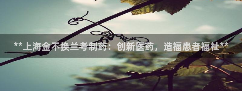 九游会老哥俱乐部社区论坛：**上海金不换兰考制药：创新医药，造福患者福祉**