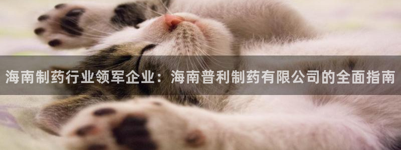 九游会老哥：海南制药行业领军企业：海南普利制药有限公司的全面指南