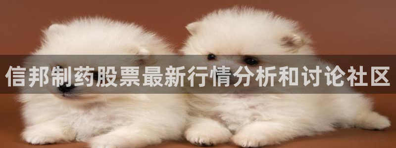 九游会老哥必备的交流社区九：信邦制药股票最新行情分析和讨论社区