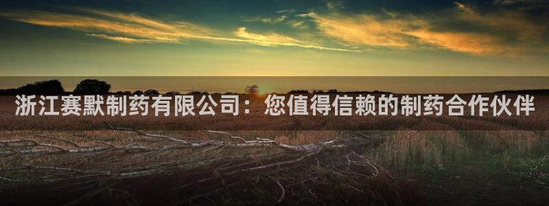 九游会老哥俱乐部官网：浙江赛默制药有限公司：您值得信赖的制药合作伙伴