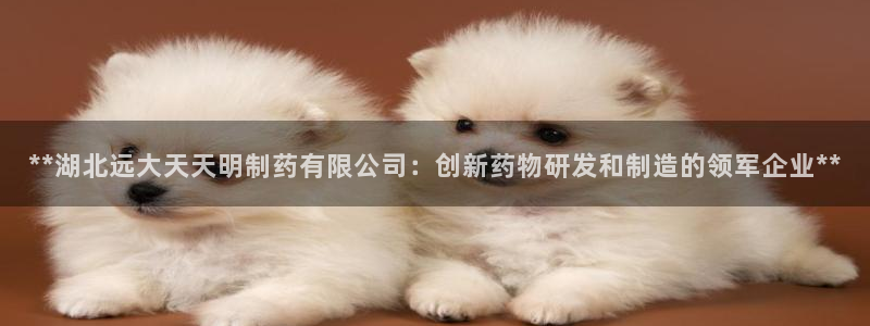 九游老哥俱乐部官网登录网址：**湖北远大天天明制药有限公司：创新药物研发和制造的领军企业**
