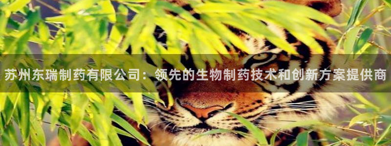 九游会老哥俱乐部交流社区：苏州东瑞制药有限公司：领先的生物制药技术和创新方案提供商