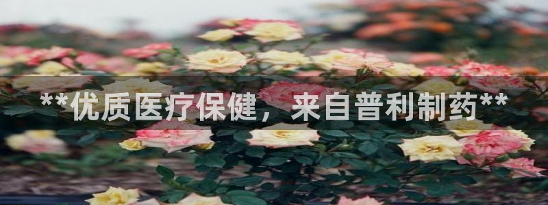 九游老哥俱乐部官网登录网址：**优质医疗保健，来自普利制药**