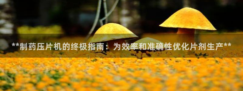 9游会老哥俱乐部：**制药压片机的终极指南：为效率和准确性优化片剂生产**