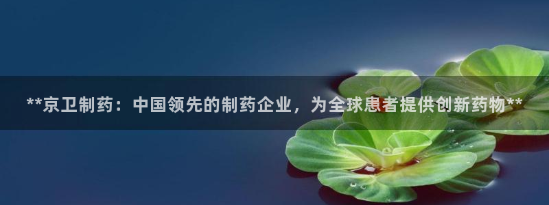 老哥吧九游会：**京卫制药：中国领先的制药企业，为全球患者提供创新药物**