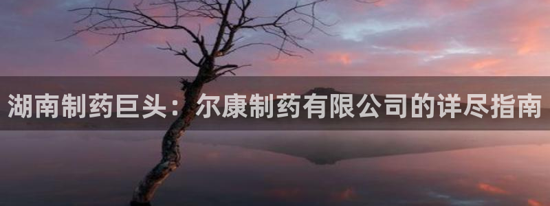 九游会老哥：湖南制药巨头：尔康制药有限公司的详尽指南