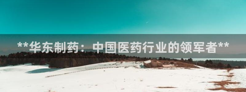 九游老哥俱乐部官网登录：**华东制药：中国医药行业的领军者**