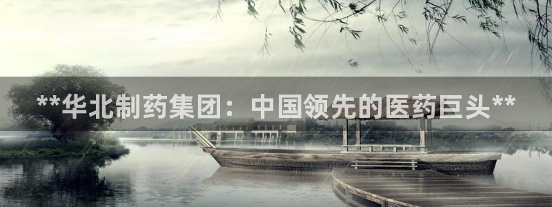 九游老哥俱乐部登录：**华北制药集团：中国领先的医药巨头**