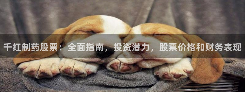 usdt九游会老哥俱乐部：千红制药股票：全面指南，投资潜力，股票价格和财务表现