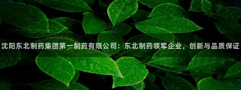 j9九游会老哥俱乐部交流区：沈阳东北制药集团第一制药有限公司：东北制药领军企业，创新与品质保证