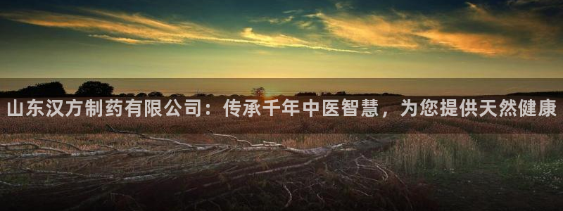 九游会老哥俱乐部官网首页论坛：山东汉方制药有限公司：传承千年中医智慧，为您提供天然健康