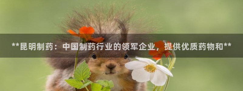 9游会老哥：**昆明制药：中国制药行业的领军企业，提供优质药物和**