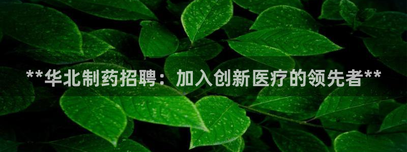 j9九游会老哥俱乐部交流区：**华北制药招聘：加入创新医疗的领先者**