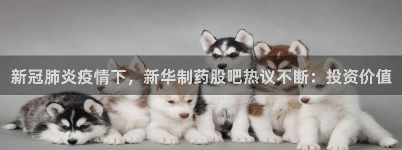 九游会老哥俱乐部必备的交流社区论坛：新冠肺炎疫情下，新华制药股吧热议不断：投资价值