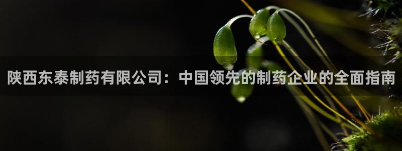 九游会老哥俱乐部官方网站：陕西东泰制药有限公司：中国领先的制药企业的全面指南