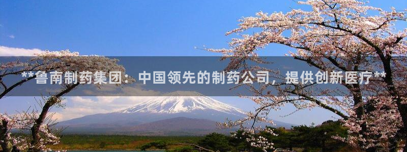 ag九游会老哥俱乐部：**鲁南制药集团：中国领先的制药公司，提供创新医疗**