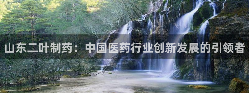 九游会老哥必备的交流社区九：山东二叶制药：中国医药行业创新发展的引领者