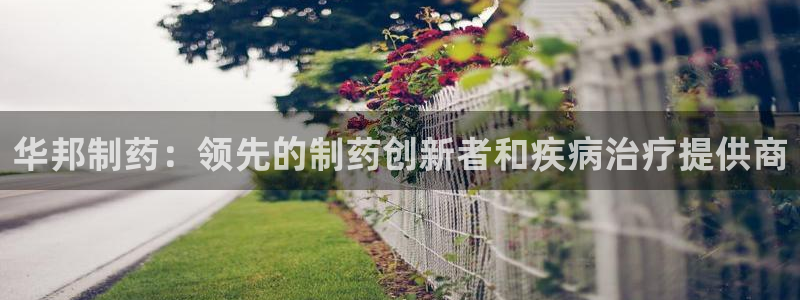 九游会老哥俱乐部：华邦制药：领先的制药创新者和疾病治疗提供商