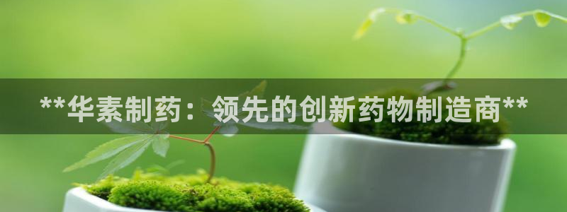 九游会老哥俱乐部必备的交流社区：**华素制药：领先的创新药物制造商**
