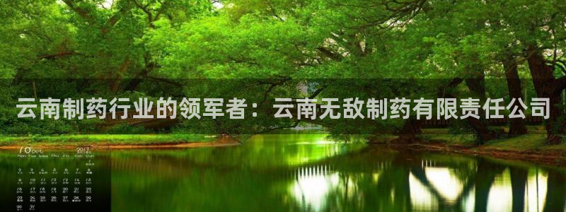 九游会老哥：云南制药行业的领军者：云南无敌制药有限责任公司