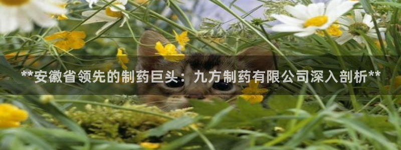 9游会老哥俱乐部：**安徽省领先的制药巨头：九方制药有限公司深入剖析**