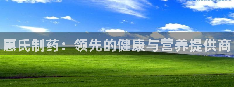 九游会老哥俱乐部：惠氏制药：领先的健康与营养提供商