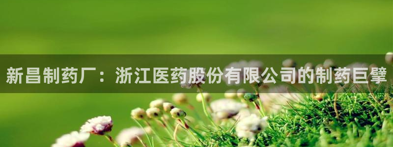 老哥俱乐部是干什么的：新昌制药厂：浙江医药股份有限公司的制药巨擘