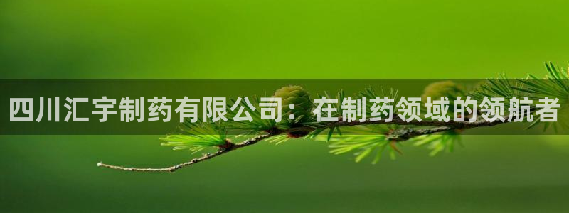 九游会老哥俱乐部：四川汇宇制药有限公司：在制药领域的领航者