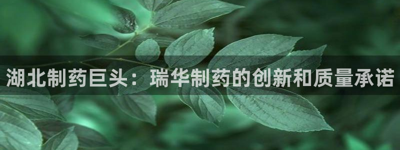 九游老哥俱乐部官网登录入口：湖北制药巨头：瑞华制药的创新和质量承诺