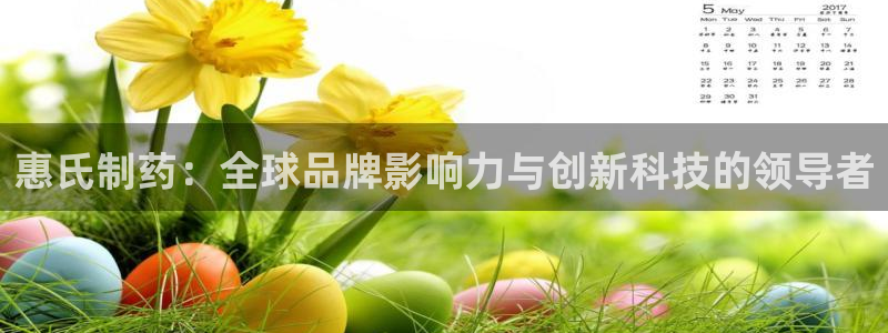 9游会老哥：惠氏制药：全球品牌影响力与创新科技的领导者