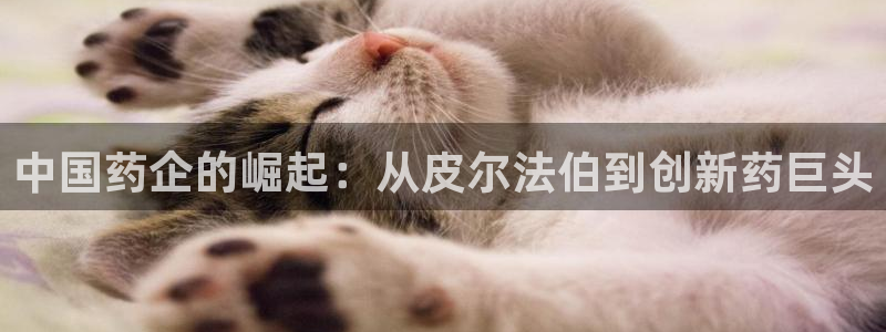 老哥俱乐部是干什么的：中国药企的崛起：从皮尔法伯到创新药巨头