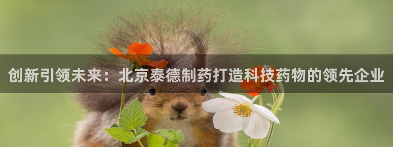 九游老哥俱乐部官网登录入口：创新引领未来：北京泰德制药打造科技药物的领先企业