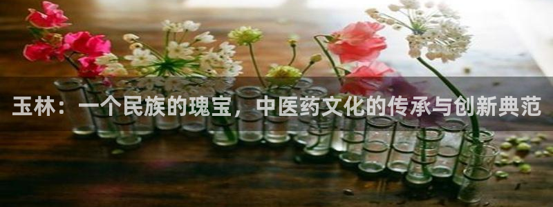九游会老哥俱乐部必备的交流社区：玉林：一个民族的瑰宝，中医药文化的传承与创新典范