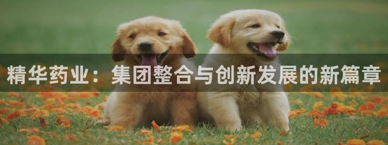 九游老哥俱乐部官网登录不了：精华药业：集团整合与创新发展的新篇章