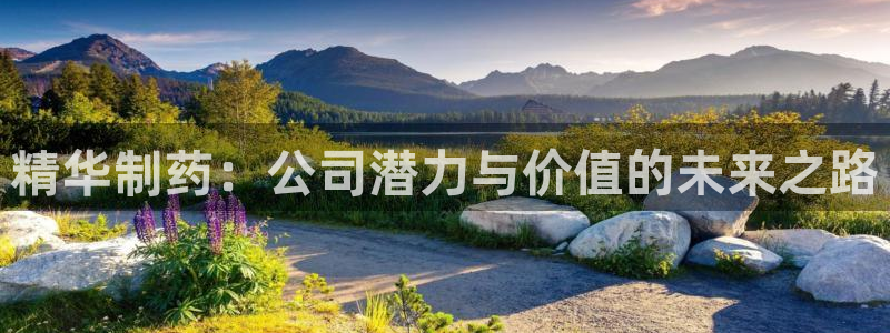 九游会老哥必备的交流社区：精华制药：公司潜力与价值的未来之路