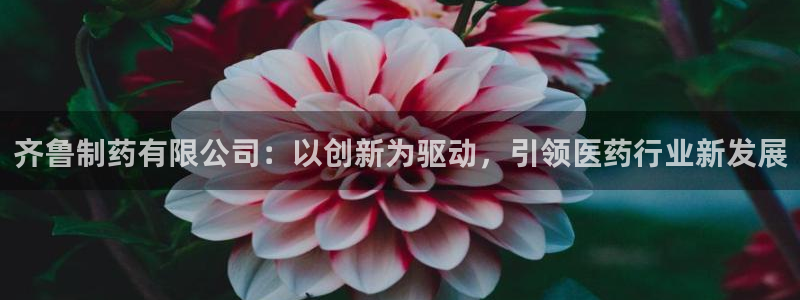 九游老哥俱乐部官网登录不了：齐鲁制药有限公司：以创新为驱动，引领医药行业新发展