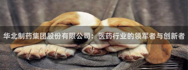 九游老哥俱乐部官网登录网址：华北制药集团股份有限公司：医药行业的领军者与创新者